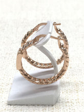 Load image into Gallery viewer, Fendi Auth. FF Logo Hoop Earrings Pierce Brassy Color Lever Back Accessory w/Box
